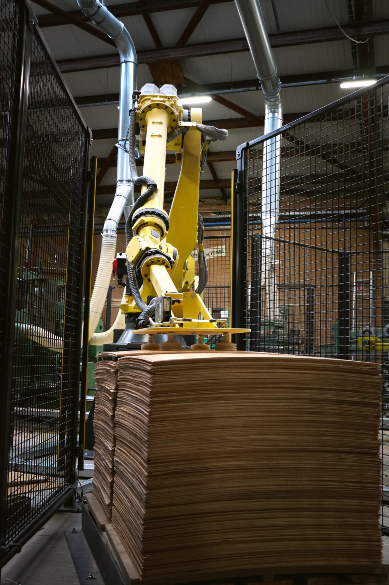 calipsea savoir faire